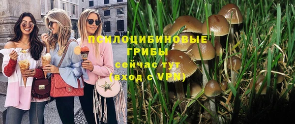 крисы Баксан