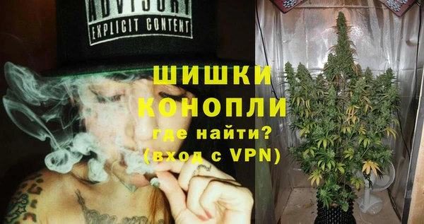 крисы Баксан