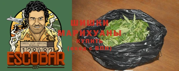 крисы Баксан
