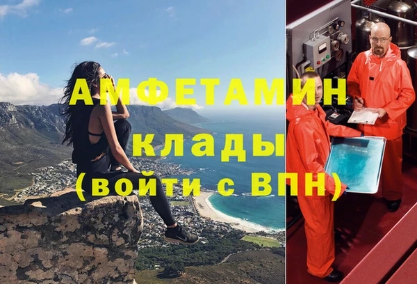 крисы Баксан