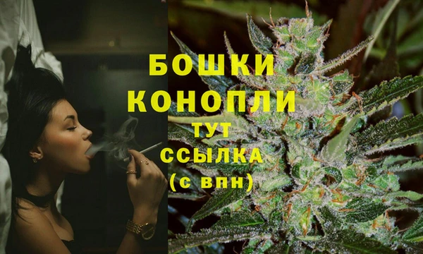 герыч Мегион