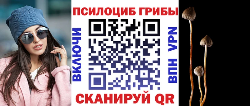 Галлюциногенные грибы MAGIC MUSHROOMS  как найти закладки  Коломна 